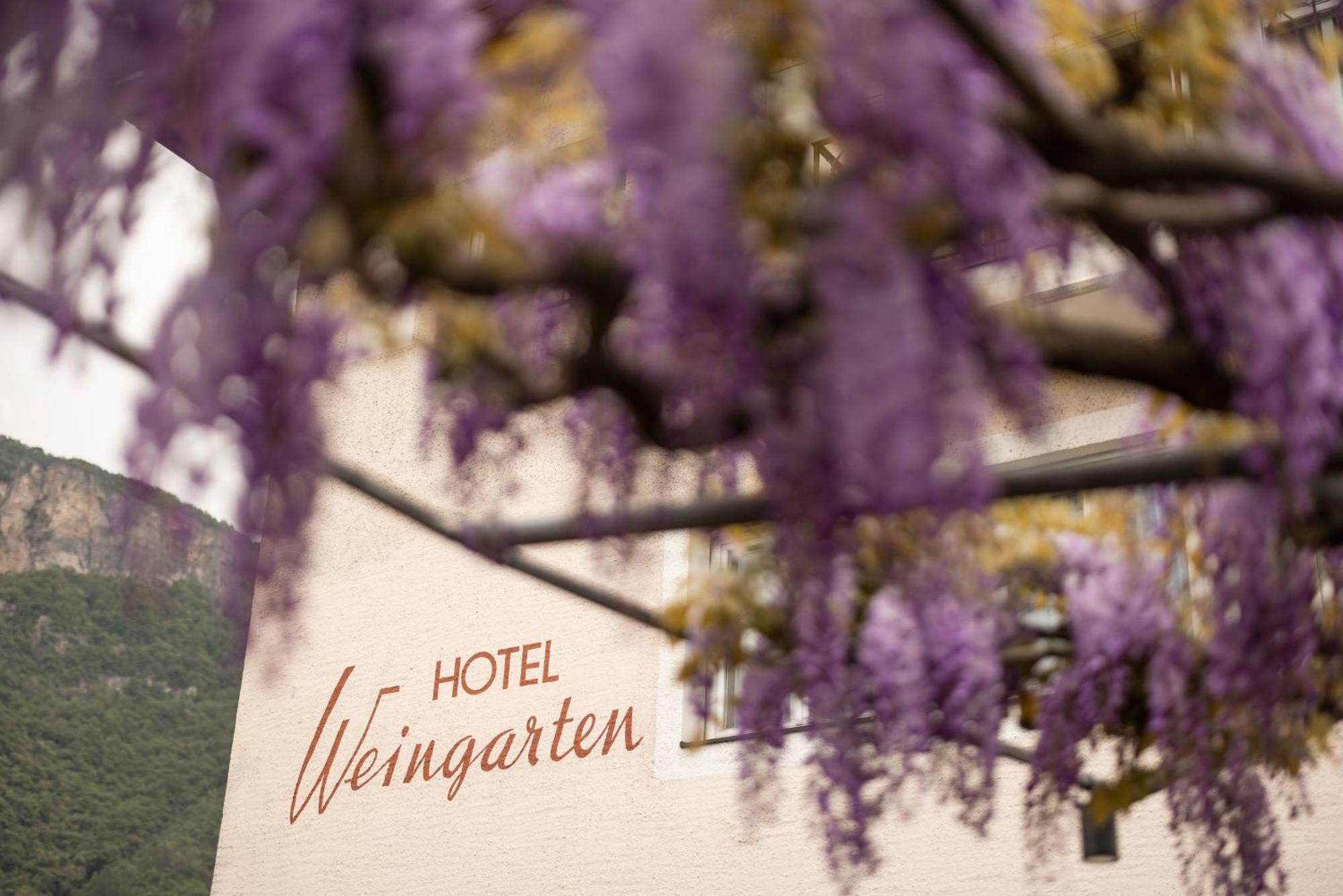 Weingarten Terlan - Rooms & Breakfast المظهر الخارجي الصورة
