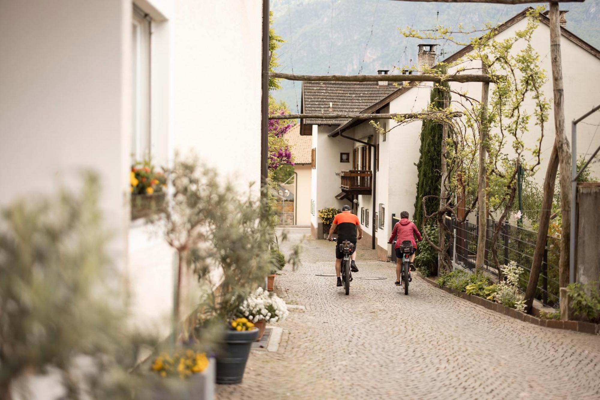 Weingarten Terlan - Rooms & Breakfast المظهر الخارجي الصورة